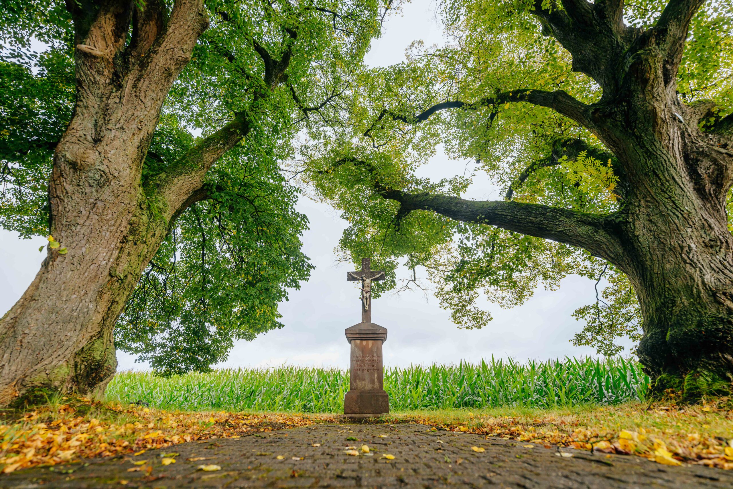 Wegekreuz bei Bachum
