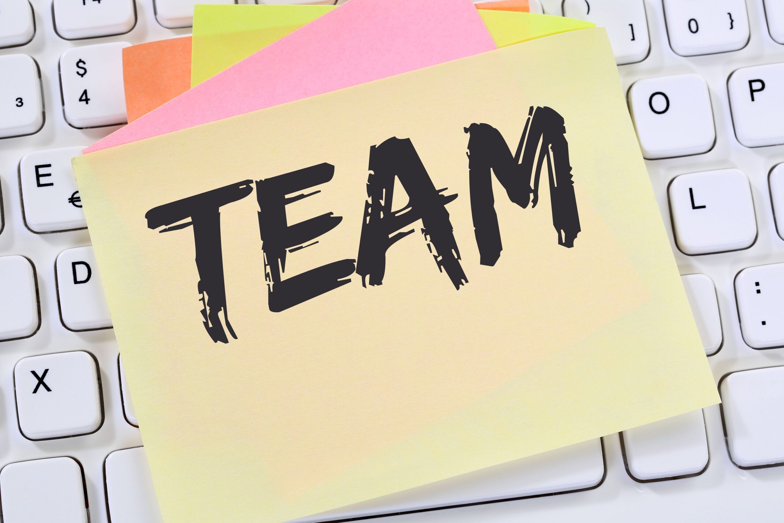 Team